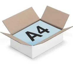 10 cartons d'emballage 31 x 21.5 x 5.5 cm - Simple cannelure