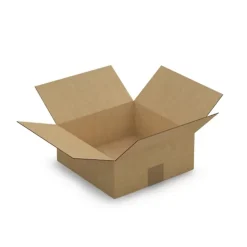 10 cartons d'emballage 25 x 25 x 10 cm - Simple cannelure