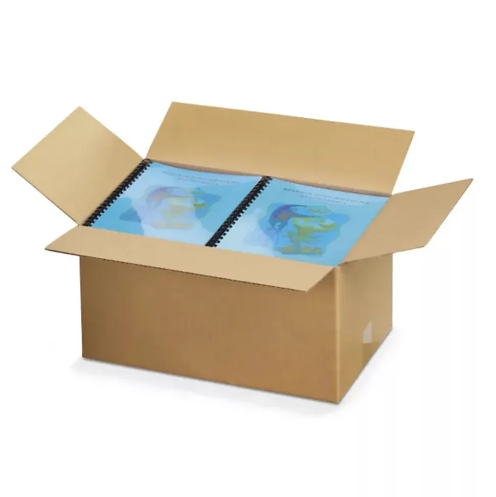 10 cartons d'emballage 16 x 12 x 11 cm - Double cannelure