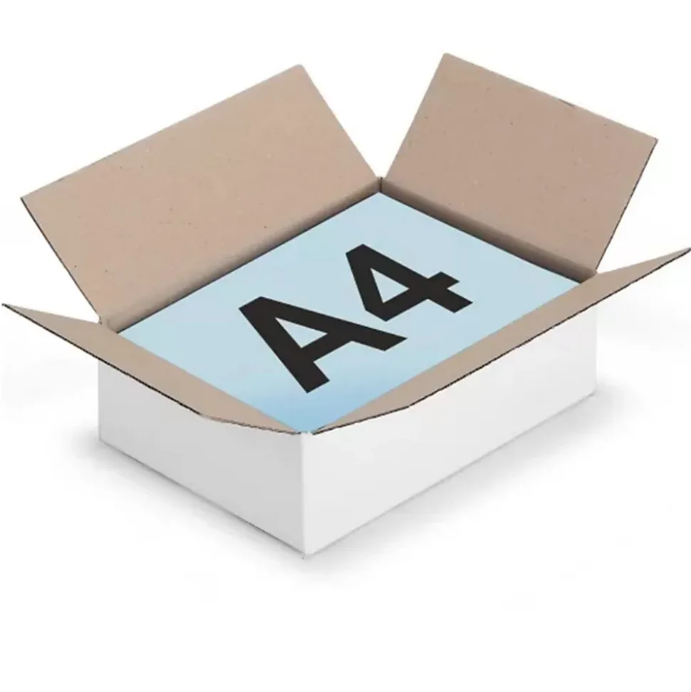 15 cartons d'emballage 31 x 21.5 x 5.5 cm - Simple cannelure