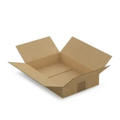 20 cartons d'emballage 31 x 21.5 x 5.5 cm - Simple cannelure