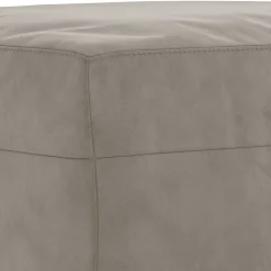349421 vidaXL Banc Gris clair 100x35x41 cm Velours
