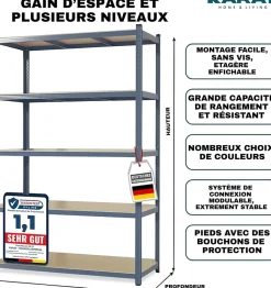 2 X Rayonnages pour charges lourdes, 200 x 100 x 50 cm, Gris, Capacité de charge max : 875 kg