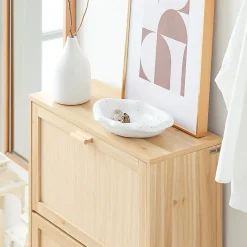 Armoire à Chaussures 2 Abattants, étagère à Chaussures avec 2 Portes, FSR160-N, SoBuy