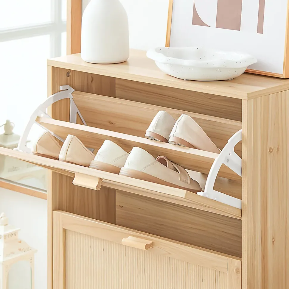 Armoire à Chaussures 2 Abattants, étagère à Chaussures avec 2 Portes, FSR160-N, SoBuy