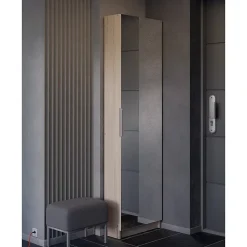 Armoire à Chaussures 1 Porte Miroir L50 cm - Zapatero