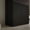 Armoire : Graphite Noir, 100 x 200 x 51 cm