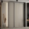 Armoire Dakota 1 a portes coulissantes 150/45/235,3 portes