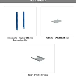 Armoire informatique fixe - Bleu industriel - Box écran 24 pouces inclinable et plateau - W040010029-GCBI