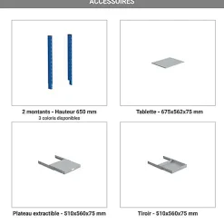 Armoire informatique fixe - Bleu industriel - Support écran sur rail - W040010031-GCBI