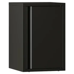 Armoire murale Burlöv 50 x 33 x 35 cm acier noir en.casa