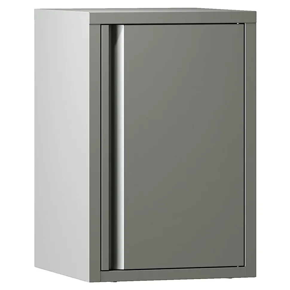Armoire murale Burlöv 50 x 33 x 35 cm acier gris en.casa