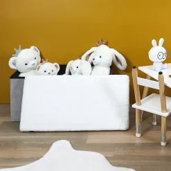 Banc & Coffre De Rangement 