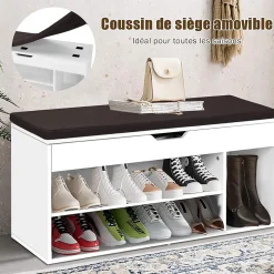 Banc a Chaussures avec Coussin Meuble a Chaussure Multifonctionnel en Bois Commode a Chaussures pour Entree