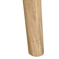 Banc 160x40x45 cm bois massif de manguier vidaXL