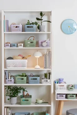 Boîte de rangement Smartstore M Orthex bleu