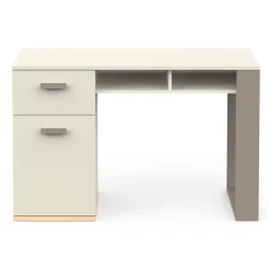 Bureau 1 Porte 1 Tiroir et 2 Niches L120 cm - CAMILLIA