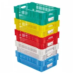 Caisse liaison froide HACCP 37 L - vert