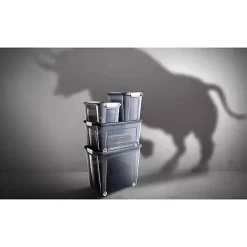 Caisse translucide à couvercle clipsable 13 ou 18 litres - 13 Litres
