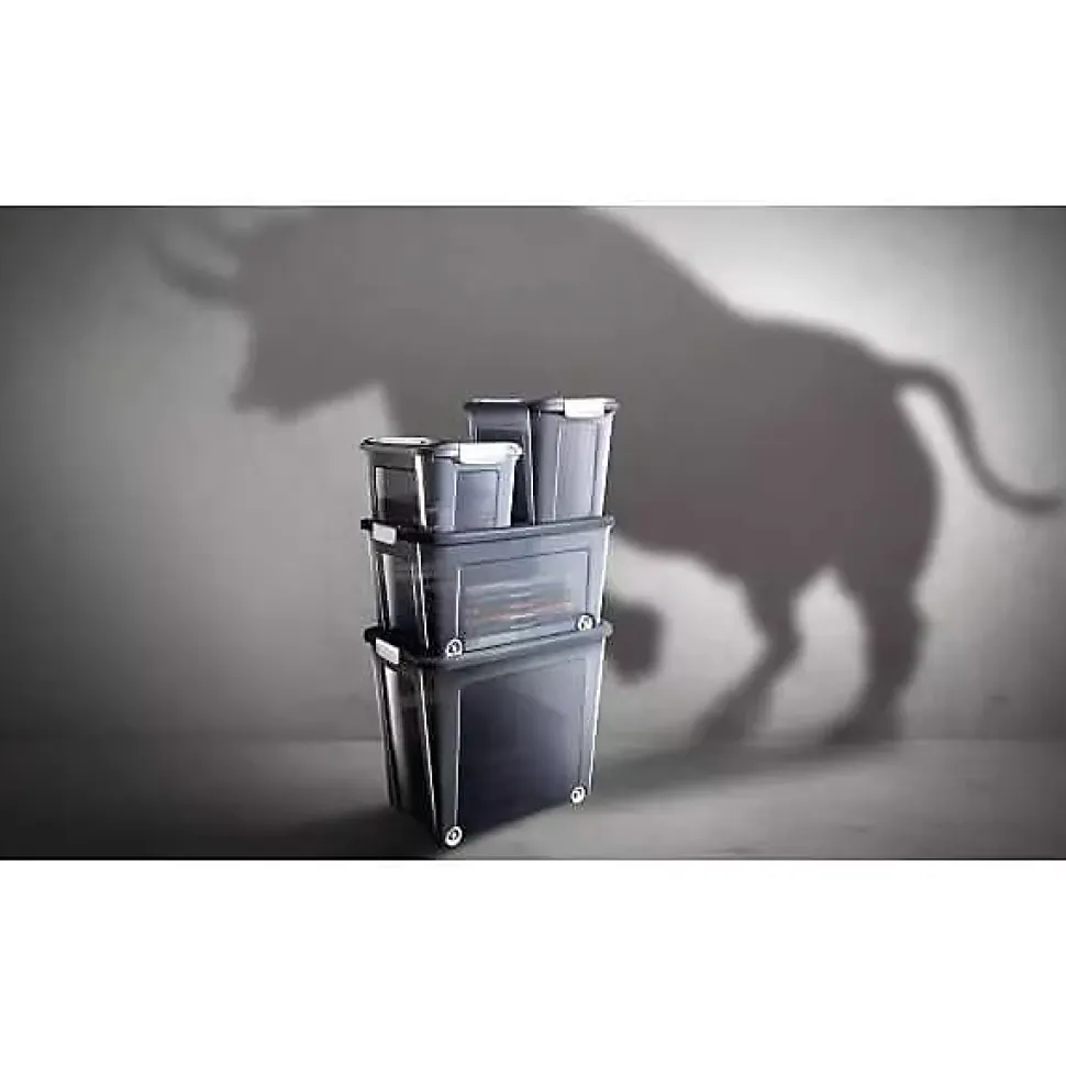 Caisse translucide à couvercle clipsable 13 ou 18 litres - 13 Litres
