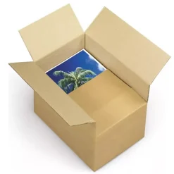 Carton d'emballage 25 x 25 x 19 cm - Simple cannelure