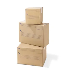 Carton d'expédition 15L L.300X l.250X H.2 mm Mottez
