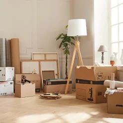 Carton déménagement standard avec poignées H. 30 x L. 60 x l. 40 cm, capacité 72 L Pack and Move vendu par 20 pièces