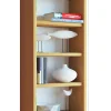 CD DVD Wandregal Schrank Loposa Glastür