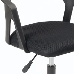 Chaise Bureau Roulettes Souples Accoudoirs Assise Rembourée Hauteur Réglable Pivotant AYA (noir)