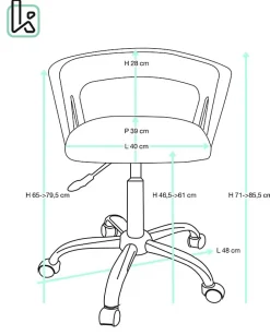 Chaise Bureau Roulettes Souples Accoudoirs Assise Rembourée Hauteur Réglable Pivotant AYA (noir)