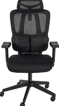 Chaise de bureau Altamont, ergonomique, charge max 135 kg, réglable en hauteur avec accoudoirs et appuie-tête. Noir