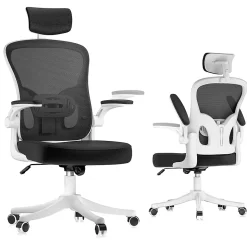 Chaise de Bureau Ergonomique avec Support Lombaire, Accoudoirs et Appuie-tête Réglables