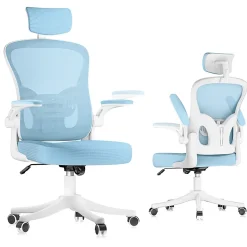 Chaise de Bureau Ergonomique avec Support Lombaire, Accoudoirs et Appuie-tête Réglables