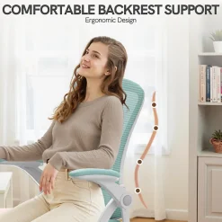 Chaise de bureau ergonomique En Maille Avec Soutien Lombaire, Accoudoirs Réglables