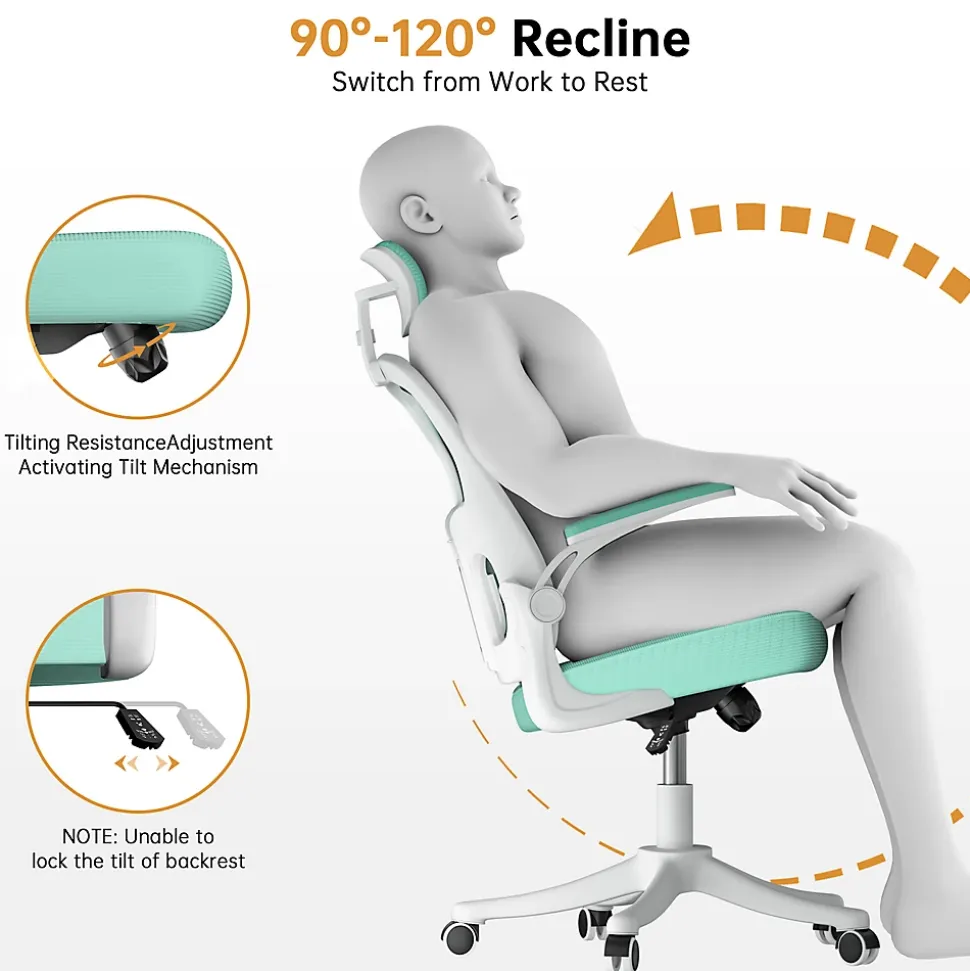Chaise de Bureau Ergonomique avec Support Lombaire, Accoudoirs et Appuie-tête Réglables