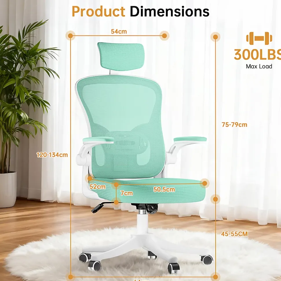 Chaise de Bureau Ergonomique avec Support Lombaire, Accoudoirs et Appuie-tête Réglables