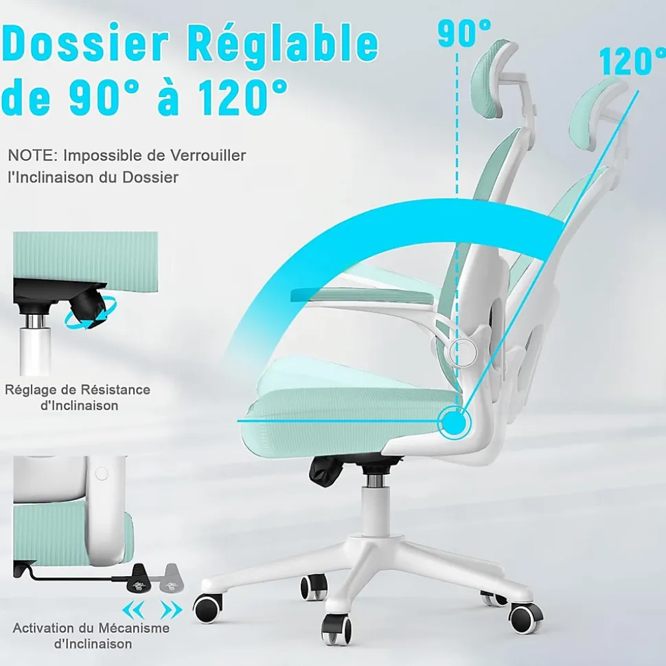 Chaise de Bureau Ergonomique avec Support Lombaire, Accoudoirs et Appuie-tête Réglables