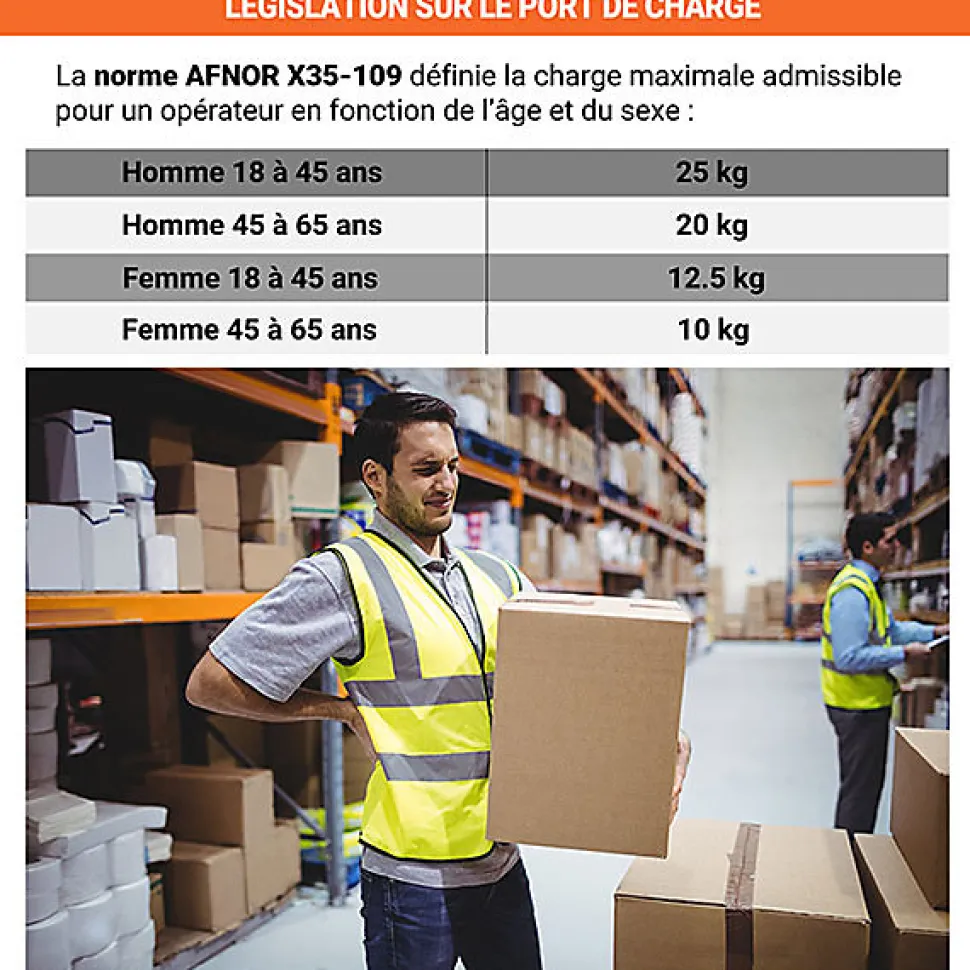 Chariot de manutention pliable livré monté - Plateau 1000x595mm - Charge max 400kg - 806722231