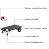 Chariot manutention motorisé - Plateau 1280x630mm - Charge max 400kg - Industrie et logistique - PM50/1