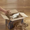 Chips de carton recyclé pour déménagement 20 L