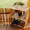 Creative Deco Coffre en Bois Flammé avec Étagère - 50 x 40 x 30 cm - Boîte Vintage Murale pour Rangement Cadeaux, Outils et Jouets