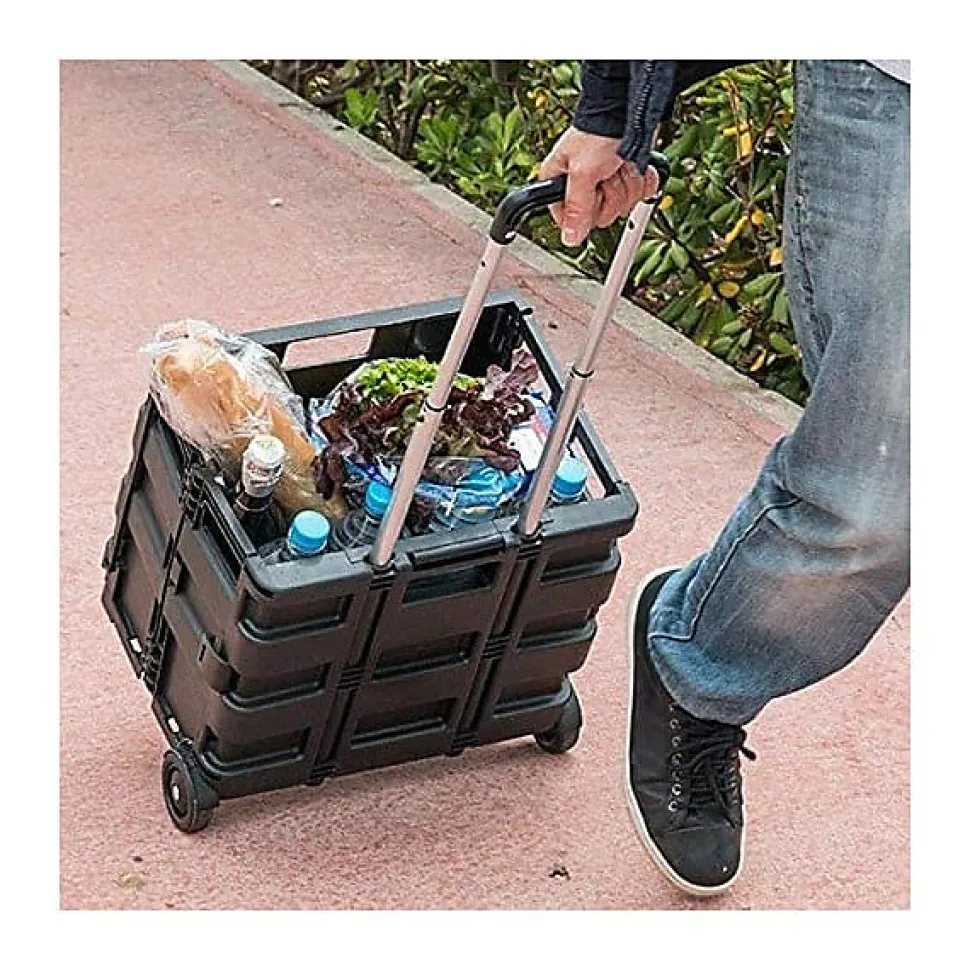 Diable avec Caisse de transport Pliable charge 20 kg