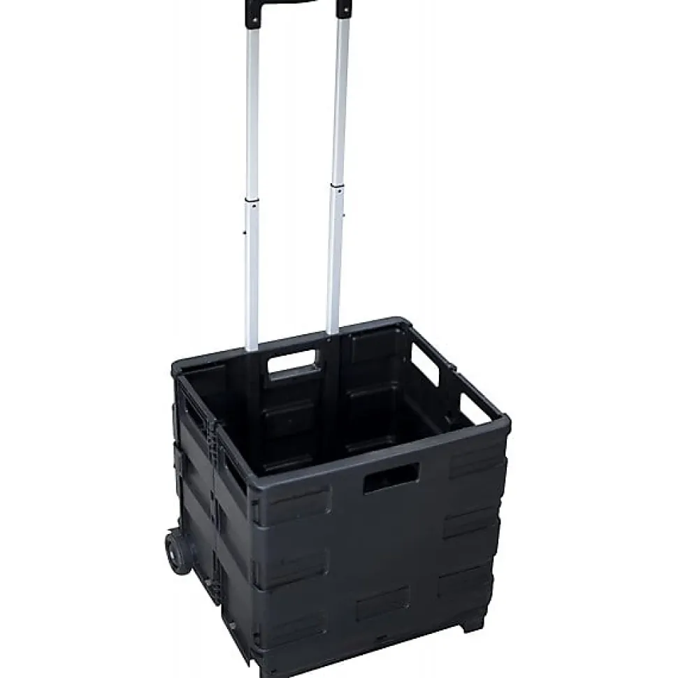 Diable avec Caisse de transport Pliable charge 20 kg