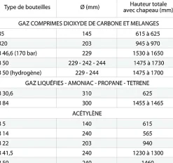Diable bouteille de gaz tout terrain - Charge max 200kg - 810000149