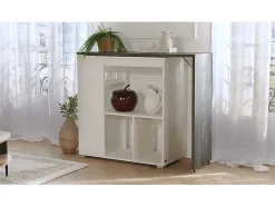 Ensemble