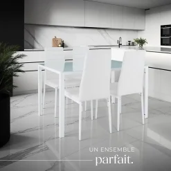 Ensemble table et chaises de salle à manger 5 pièces en Acier blanc