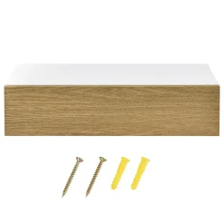 Etagère Murale à Compartiment Fermé Antilles 50x24x12cm Blanc Bois en.casa