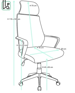 Fauteuil Bureau Ergonomique, Basculant Appuie Tête, Hauteur Réglable FAMA+ (gris)