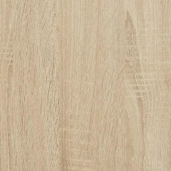 Garde-robe Chêne sonoma 100x50x200 cm Bois d'ingénierie vidaXL