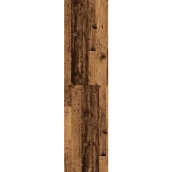 Garde-robe vieux bois 100x50x200 cm bois d'ingénierie vidaXL